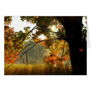 Guten Morgen im Herbst