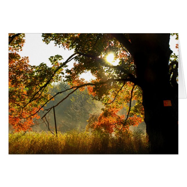 Guten Morgen im Herbst (Vorderseite (Horizontal))