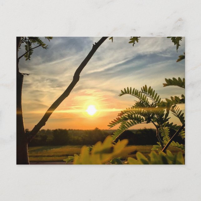 Guten Morgen, Oklahoma Postkarte (Vorderseite)