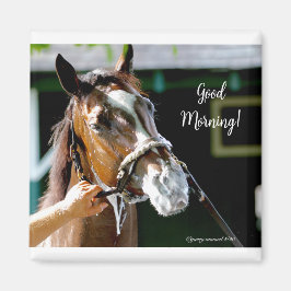 Guten Morgen! Pferd Magnet