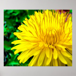 Guten Morgen Sonnenschein Poster