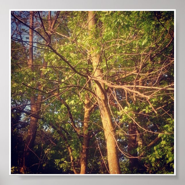 Guten Nachmittag Poster (Vorne)