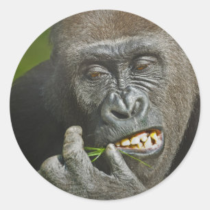 Guten Rutsch ins Neue Jahr der Runder Aufkleber