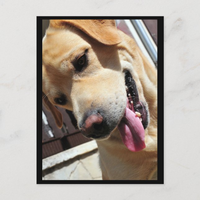 Guten Witz, Mann! Postkarte (Vorderseite)