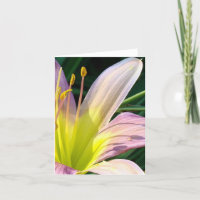 Gutenmorgen Lilie! Notecard