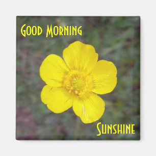 Gutenmorgen-Sonnenschein-Magnet Magnet
