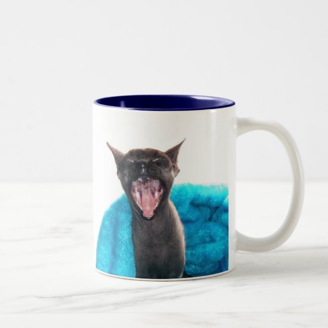 Gutenmorgen-Sonnenschein-Tasse Zweifarbige Tasse (Rechts)