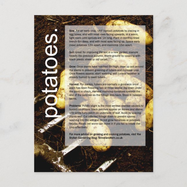 Guter Anbauführer: Kartoffeln und Karotten Postkarte (Vorderseite)