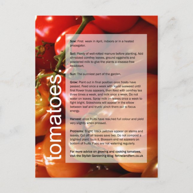 Guter Anbauführer: Tomaten/Paradeiser und Knoblauc Postkarte (Vorderseite)