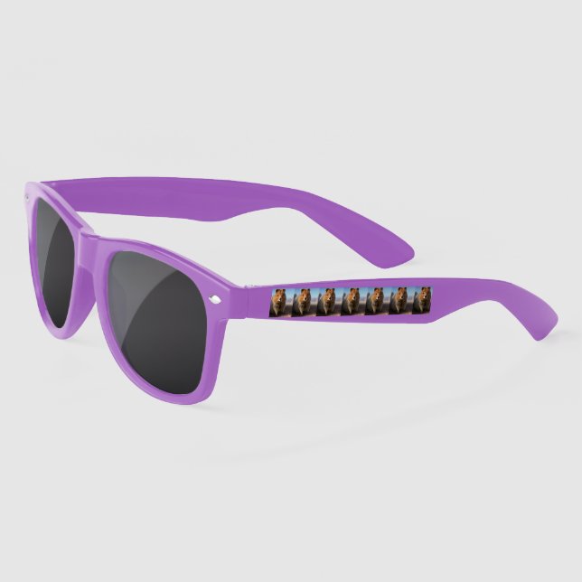 Guter Blick Quokka, Sonnenbrille (Links)