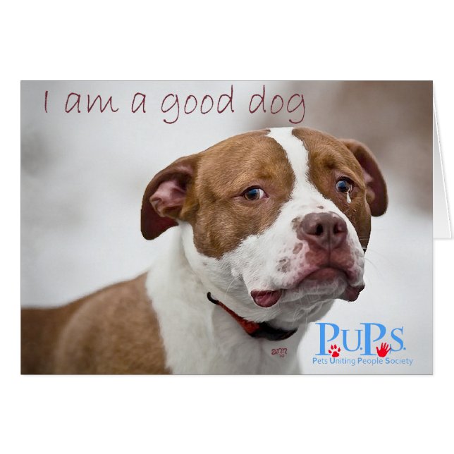 Guter Hund Grube Bull Rescue (Vorderseite (Horizontal))