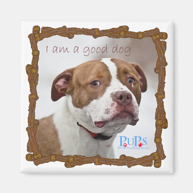 Guter Hund Grube Bull Rescue Magnet (Vorne)