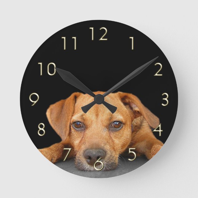 Guter Hund Runde Wanduhr (Vorderseite)