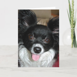 Guter Hund - Weihnachten