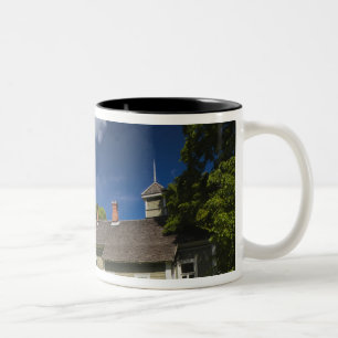 Gutshaus in Mikhailovskoye Zweifarbige Tasse