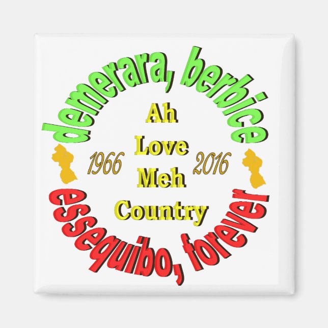 Guyana 3 Landkreis 3" Round Magnet (Vorne)