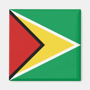 Guyana Flag Magnet
