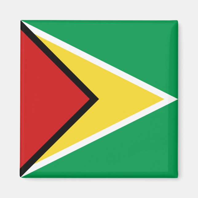 Guyana Flag Magnet (Vorne)
