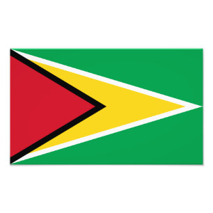 Guyana-Flagge Fotodruck