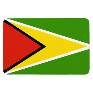 Guyana-Flagge Magnet