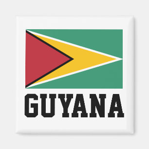 Guyana-Flagge Magnet