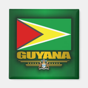 Guyana-Flagge Magnet