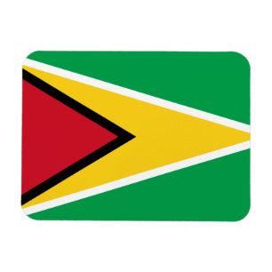 Guyana-Flagge Magnet