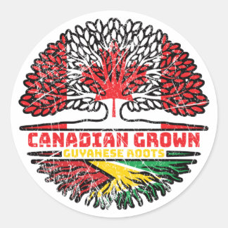 Guyana Guyana Kanadische Tree-Roots-Flagge Runder Aufkleber