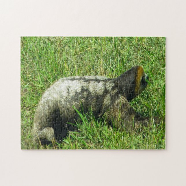 Guyana Sloath. Puzzle (Horizontal)
