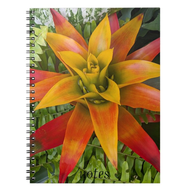 Guzmania Bromeliad Plant Floral Notizblock (Vorderseite)