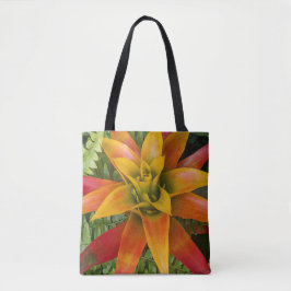 Guzmania Bromelien-Pflanze Floral