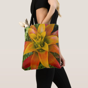 Guzmania Bromelien-Pflanze Floral