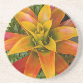 Guzmania Bromelien-Pflanze Floral Getränkeuntersetzer
