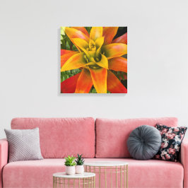 Guzmania Bromelien-Pflanze Floral Leinwanddruck
