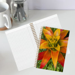Guzmania Bromelien-Pflanze Floral Notizbuch