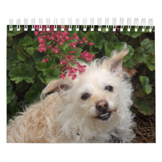 Gwendolyn 2015 Kalender