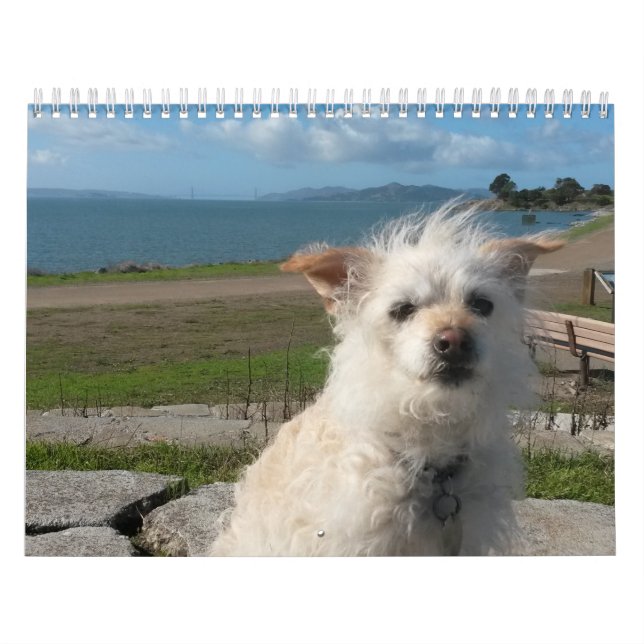 Gwendolyn Kalender 2017 (Titelbild)