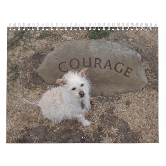 Gwendolyn Kalender 2018 (Titelbild)