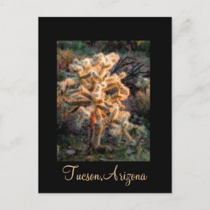 Gwer Cholla Tucson, Arizona Postkarte
