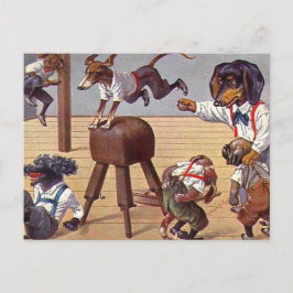 Gym-Klasse für Hunde Postkarte