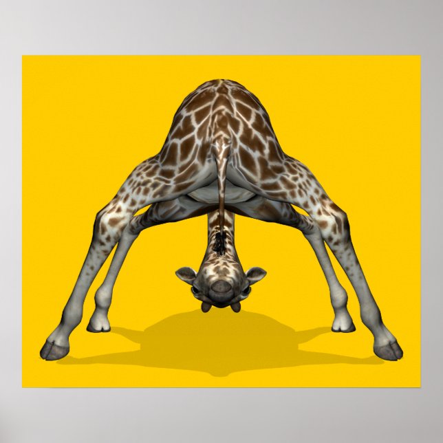Gymnastik Giraffe Poster (Vorne)