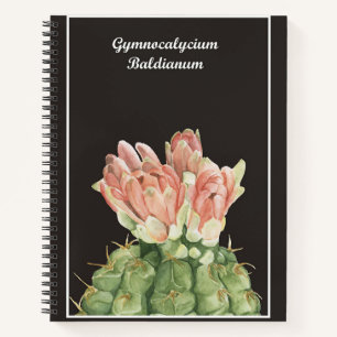 Gymnocalycium Baldianum Cactus Notizbuch