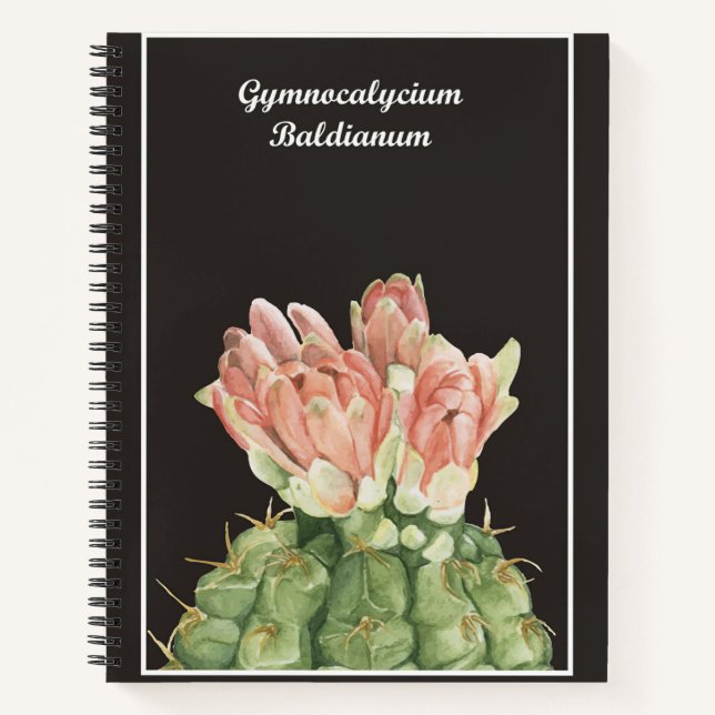 Gymnocalycium Baldianum Cactus Notizbuch (Vorderseite)