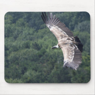 Gyps fulvus fliegen mousepad