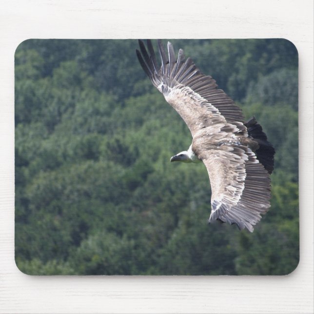 Gyps fulvus fliegen mousepad (Vorne)