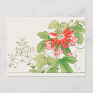 Gypsophila, Passion Blume von Tanigami Konan Postkarte