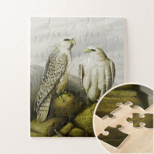 Gyr-Falken auf einem Felsvorsprung, Bird Illustrat Puzzle