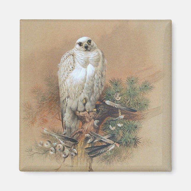 Gyrfalcon - 1861 magnet (Vorne)