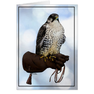 Gyrfalcon on Glove