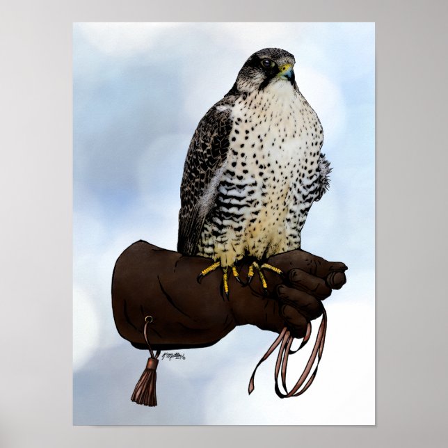 Gyrfalcon on Glove Poster (Vorne)